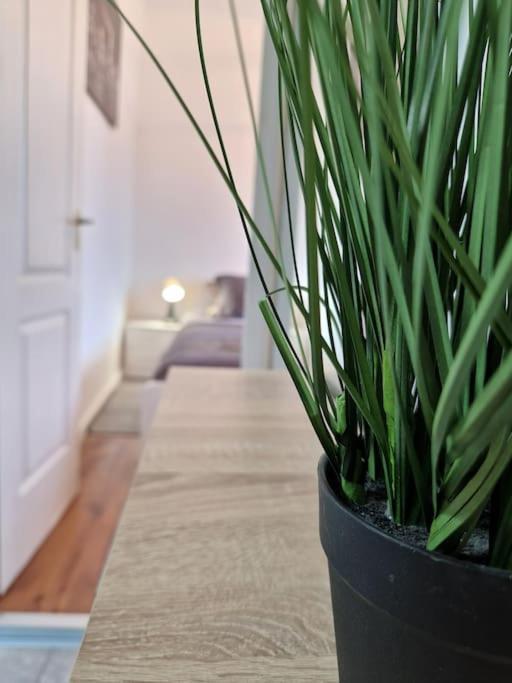 Authentic City Life Apartament Budapesta